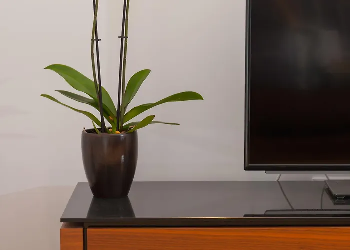 By Vestibul Palace アパートホテル 4*