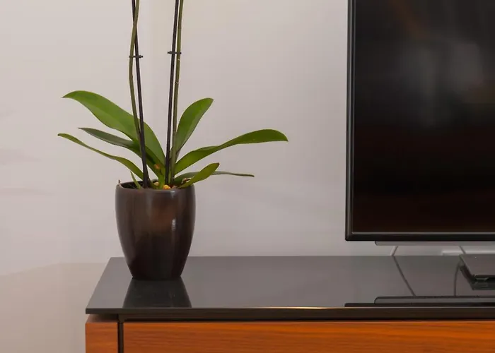 By Vestibul Palace Apartahotel 4*