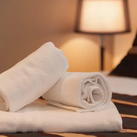 维斯特碧尔宫住宅酒店 斯普利特