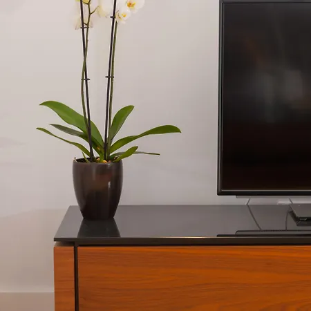 维斯特碧尔宫住宅酒店 公寓式酒店 4*